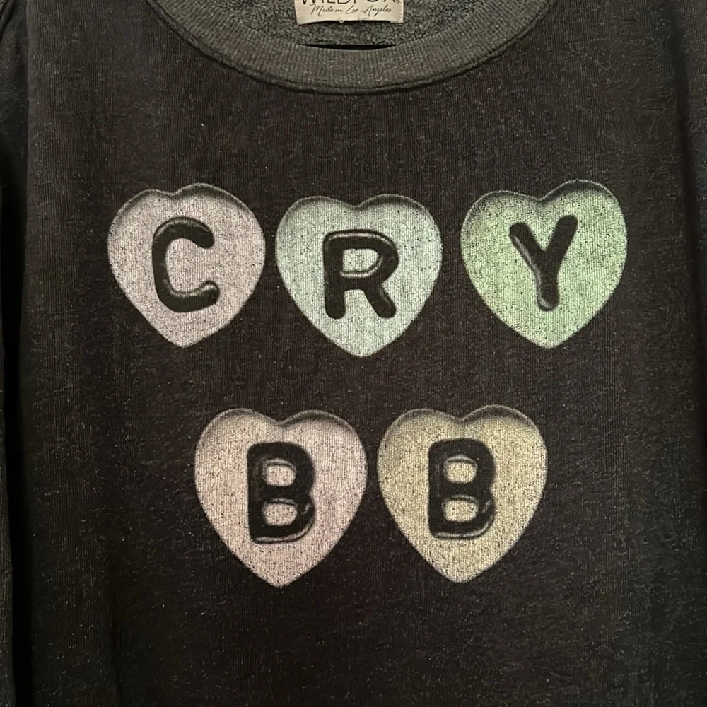 Wildfox Cry BB Roadtrip Sweater Medium - Picture 6 of 8